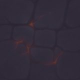 Ground_Stage_06_4__1.png