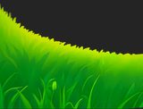 Img_1of3_Bg_Grass__1.png