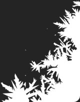 Img_Shop_Attendance_Deco__2.png