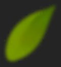 Img_Leaf_V02__1.png