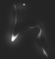 LightingErode2_2__5.png